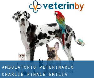 Ambulatorio veterinario CHARLIE (Finale Emilia)