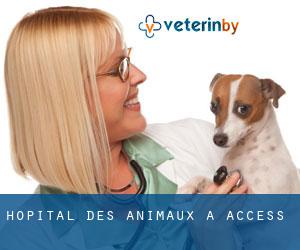 Hôpital des animaux à Access