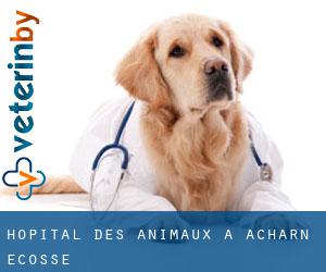 Hôpital des animaux à Acharn (Ecosse)