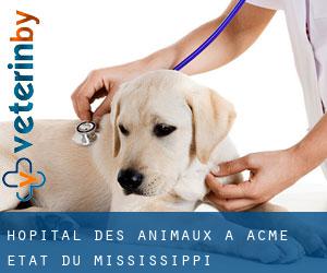 Hôpital des animaux à Acme (État du Mississippi)