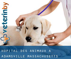 Hôpital des animaux à Adamsville (Massachusetts)