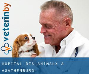 Hôpital des animaux à Agathenburg