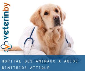 Hôpital des animaux à Agios Dimitrios (Attique)