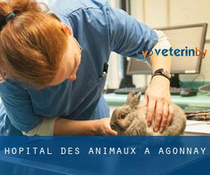 Hôpital des animaux à Agonnay