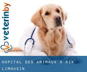 Hôpital des animaux à Aix (Limousin)