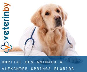 Hôpital des animaux à Alexander Springs (Florida)