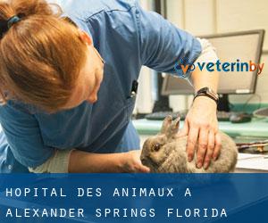 Hôpital des animaux à Alexander Springs (Florida)