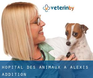 Hôpital des animaux à Alexis Addition