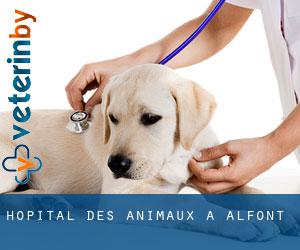 Hôpital des animaux à Alfont