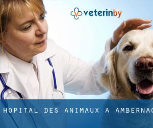 Hôpital des animaux à Ambernac