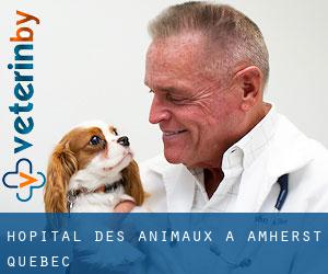 Hôpital des animaux à Amherst (Québec)