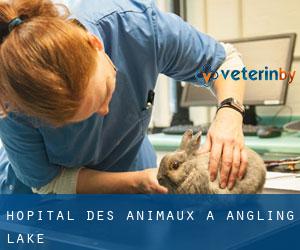 Hôpital des animaux à Angling Lake
