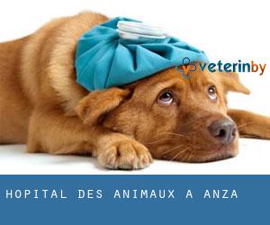 Hôpital des animaux à Anza