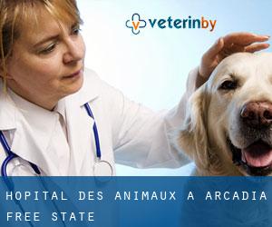 Hôpital des animaux à Arcadia (Free State)