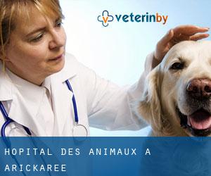 Hôpital des animaux à Arickaree