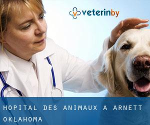 Hôpital des animaux à Arnett (Oklahoma)