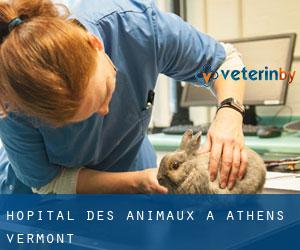 Hôpital des animaux à Athens (Vermont)