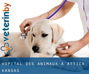 Hôpital des animaux à Attica (Kansas)