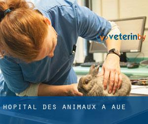 Hôpital des animaux à Aue