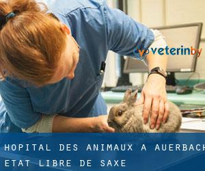 Hôpital des animaux à Auerbach (État libre de Saxe)