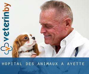 Hôpital des animaux à Ayette