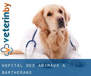 Hôpital des animaux à Bartherans