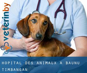 Hôpital des animaux à Baunu-Timbangan