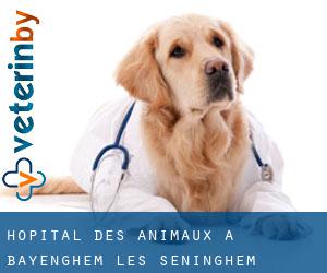 Hôpital des animaux à Bayenghem-lès-Seninghem