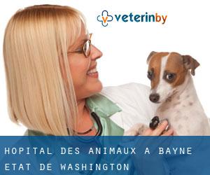 Hôpital des animaux à Bayne (État de Washington)