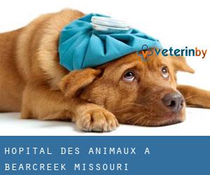 Hôpital des animaux à Bearcreek (Missouri)