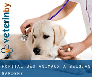 Hôpital des animaux à Belgian Gardens