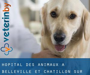Hôpital des animaux à Belleville-et-Châtillon-sur-Bar