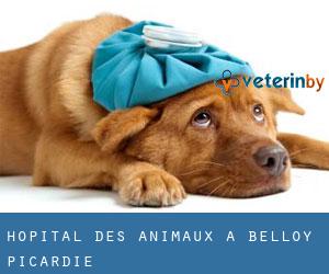 Hôpital des animaux à Belloy (Picardie)
