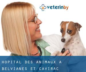 Hôpital des animaux à Belvianes-et-Cavirac