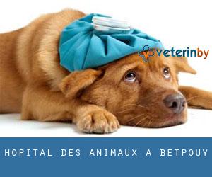 Hôpital des animaux à Betpouy