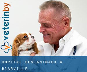 Hôpital des animaux à Biarville
