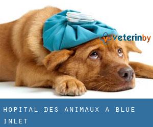 Hôpital des animaux à Blue Inlet