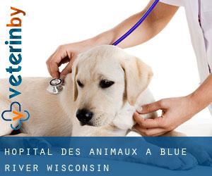 Hôpital des animaux à Blue River (Wisconsin)