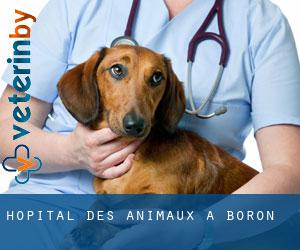 Hôpital des animaux à Boron