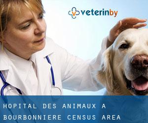 Hôpital des animaux à Bourbonnière (census area)