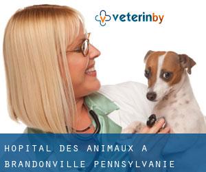 Hôpital des animaux à Brandonville (Pennsylvanie)