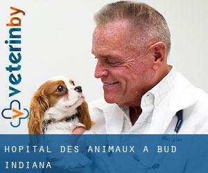 Hôpital des animaux à Bud (Indiana)