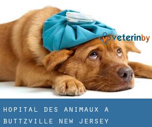 Hôpital des animaux à Buttzville (New Jersey)
