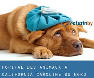 Hôpital des animaux à California (Caroline du Nord)