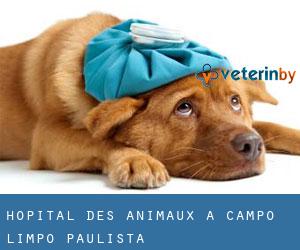 Hôpital des animaux à Campo Limpo Paulista
