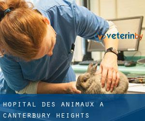 Hôpital des animaux à Canterbury Heights