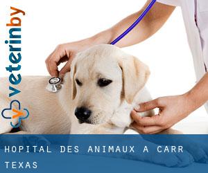 Hôpital des animaux à Carr (Texas)