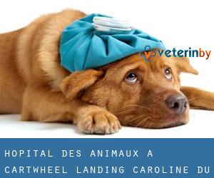 Hôpital des animaux à Cartwheel Landing (Caroline du Sud)