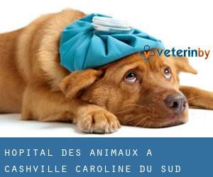 Hôpital des animaux à Cashville (Caroline du Sud)