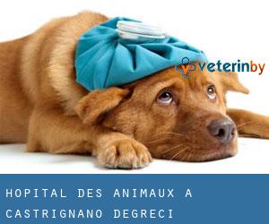 Hôpital des animaux à Castrignano de'Greci